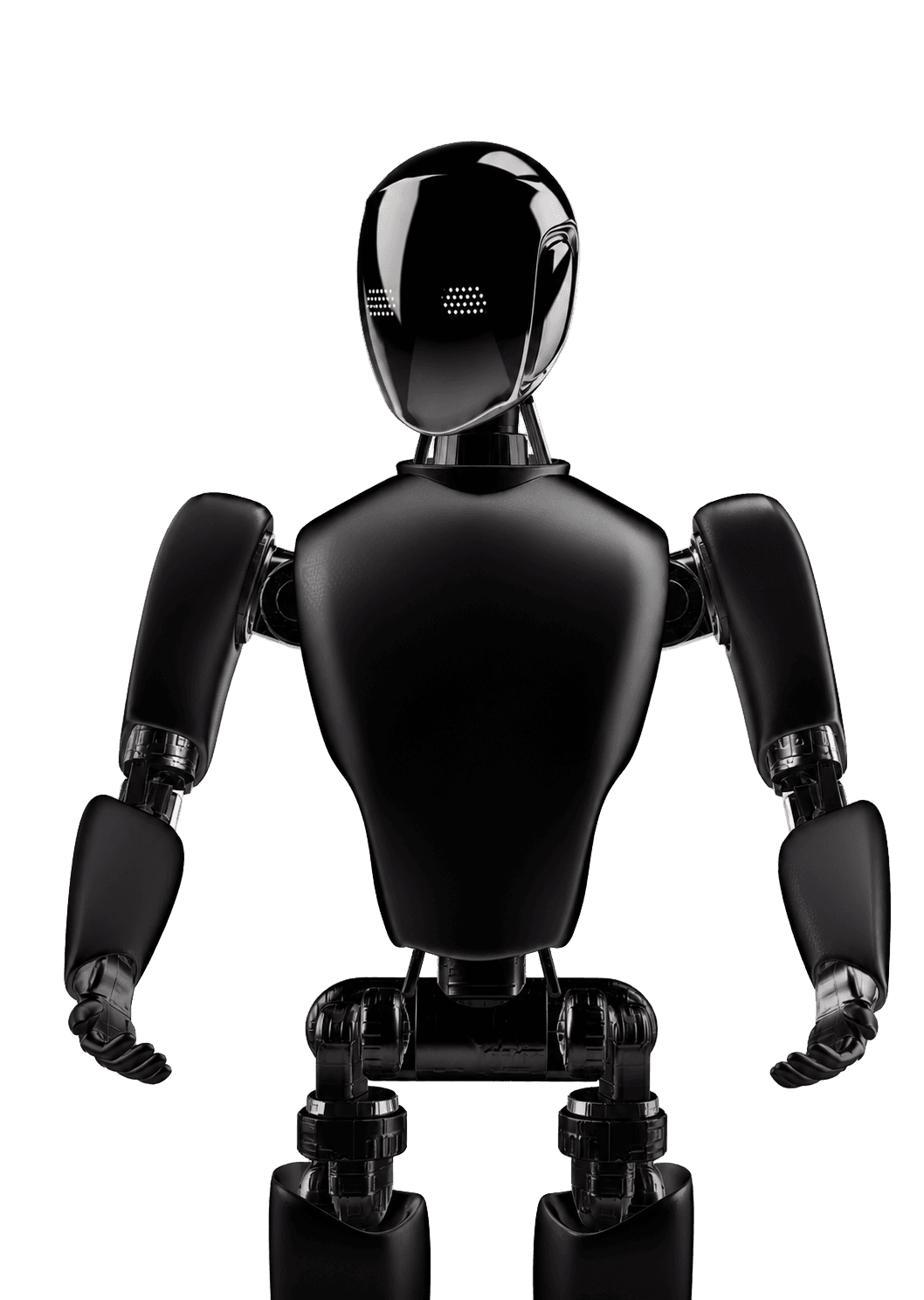 Interactive robot
